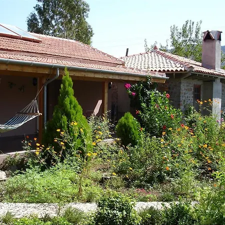 Villa Minta