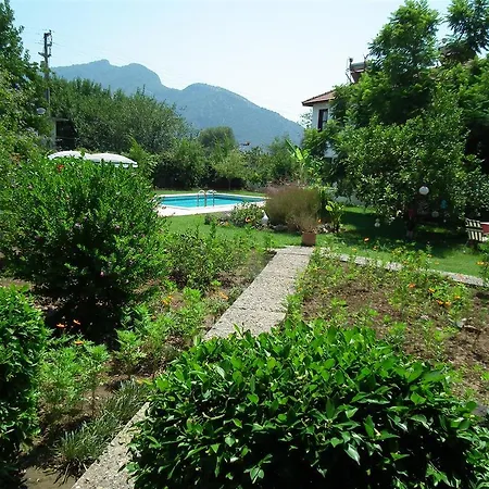 Minta Dalyan