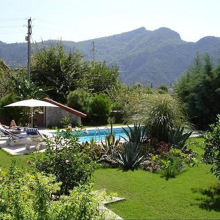 Minta * Dalyan