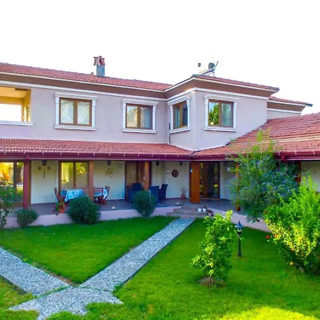 Villa Minta *